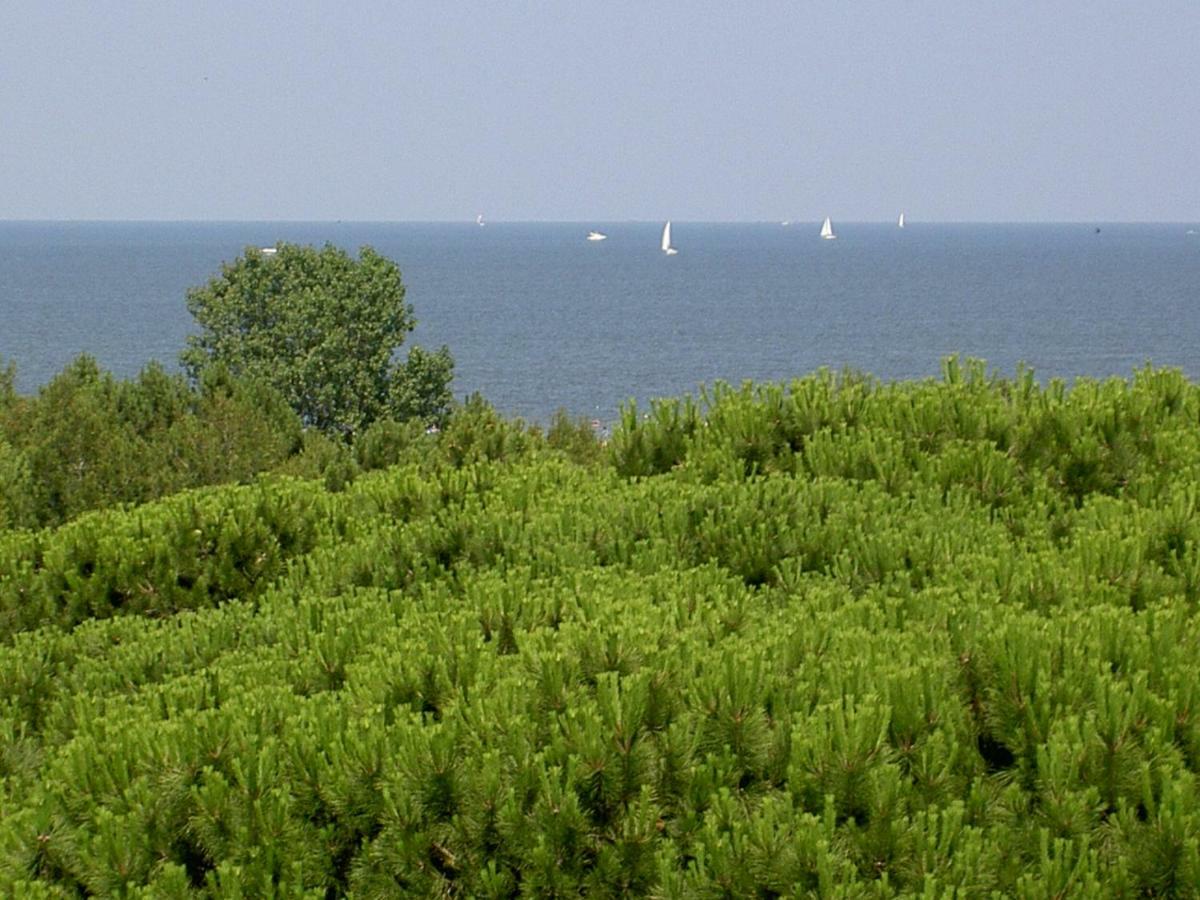 Le Terrazze Apartments Lido di Spina Εξωτερικό φωτογραφία
